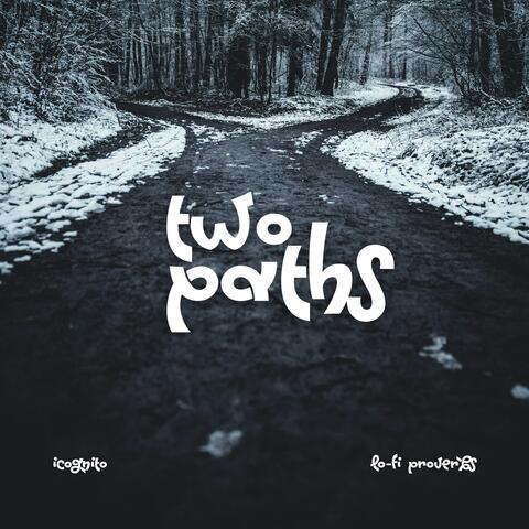 Two Paths (Lo-Fi Proverbs) album art