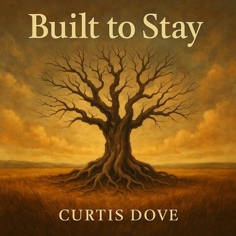 Built to Stay album art