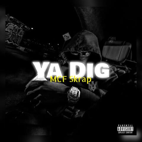 Ya Dig album art