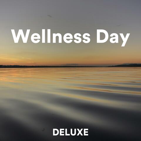 Wellness Day album art