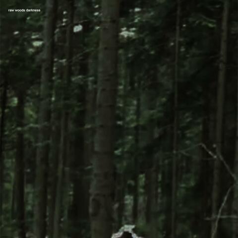 raw woods darkness album art