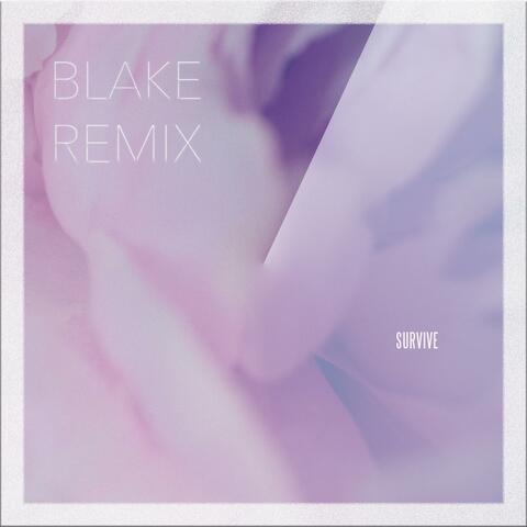 Survive (BLAKE Remix) album art