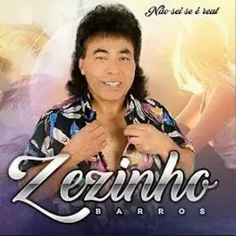 Sozinho Nunca album art