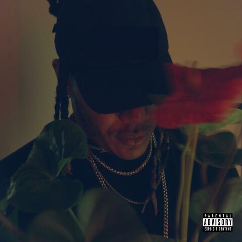Up album art
