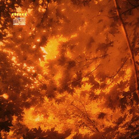 CRASH (Streaming Version) album art