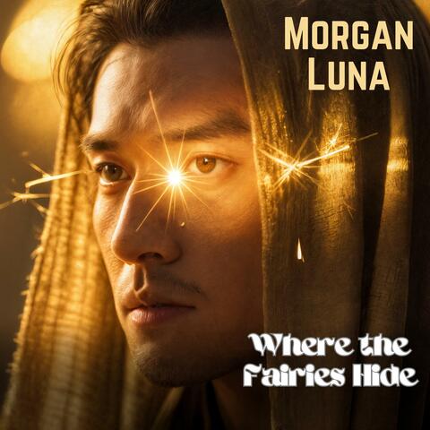 Where the Fairies Hide album art