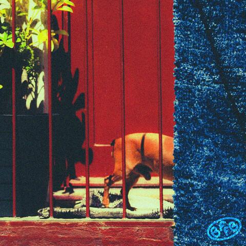 barks from front balcony album art