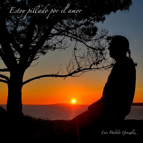Estoy Pillado por el amor album art