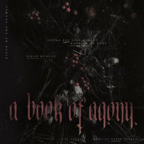 A BOOK OF AGONY album art