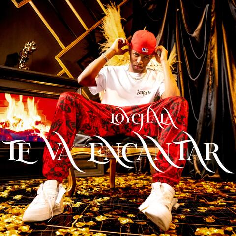 Te va encantar album art