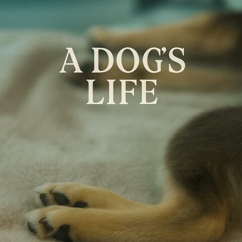 A Dogs Life album art