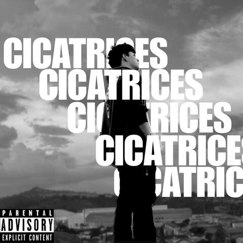 CICATRICES album art