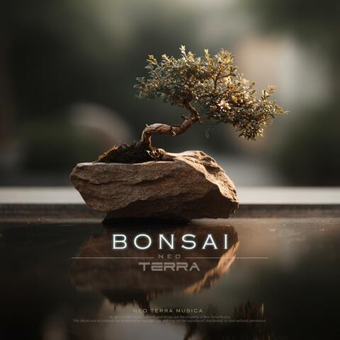 BONSAI album art