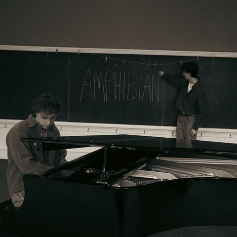 AMPHIBIAN album art