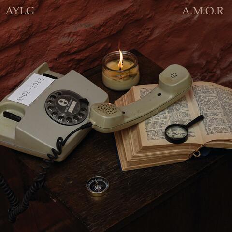 Alguien Me Oyó Reír album art