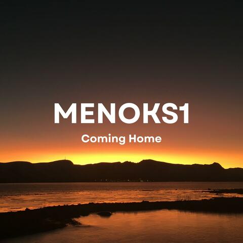 Coming Home (Back to the North) album art