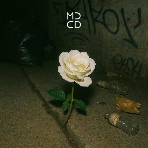 VI album art