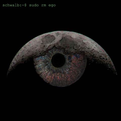 sudo rm ego (Remix) album art