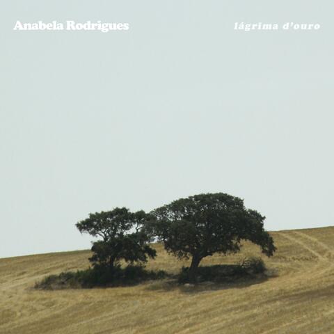 lágrima d'ouro album art