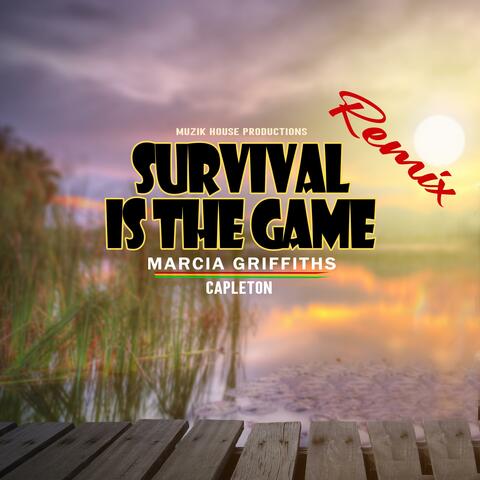 Survival Is The Game (Remix) album art