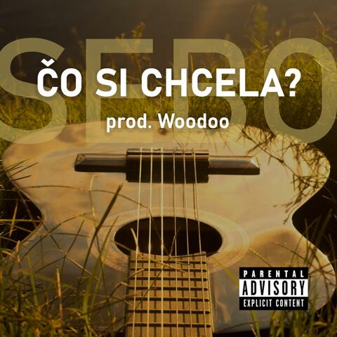 Čo si chcela? (feat. Woodoo) album art