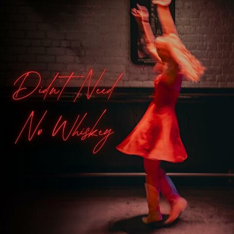 Didn't Need No Whiskey album art