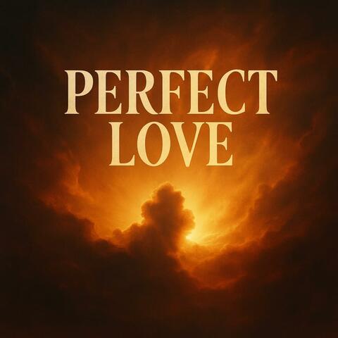 Perfect Love album art