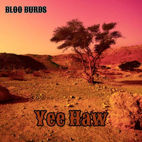 Yee Haw album art