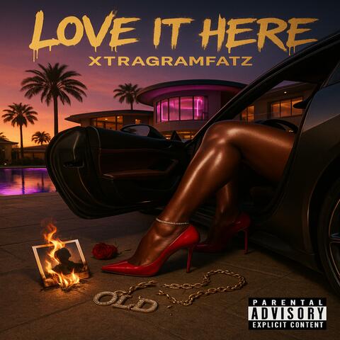 Love it here album art