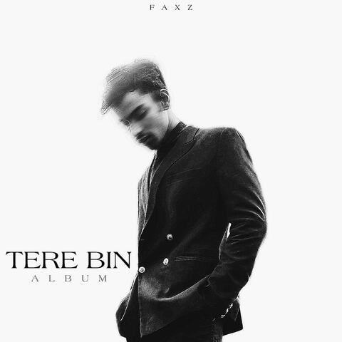 TERE BIN album art