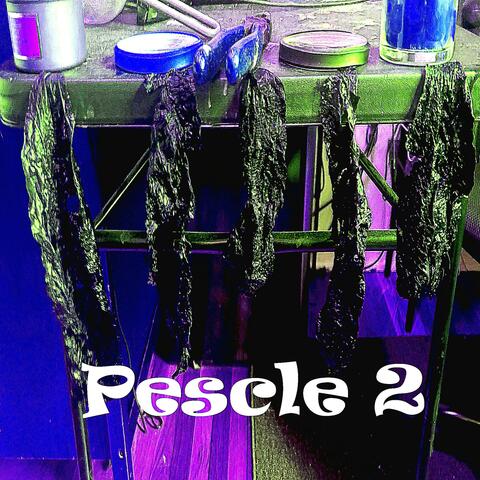 Pescle 2 album art