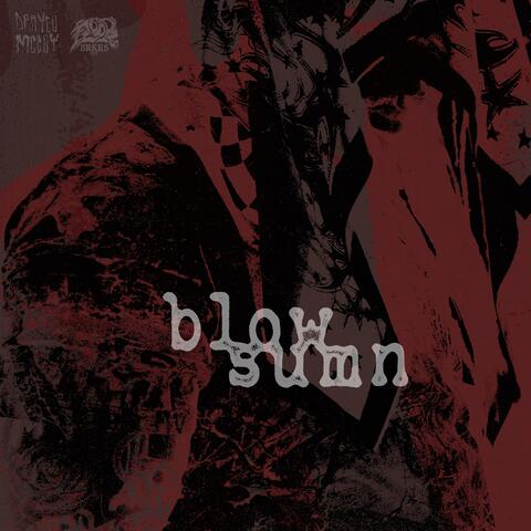 Blow Sumn album art