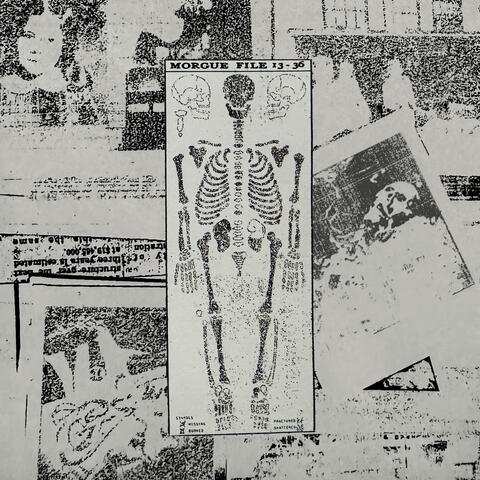 Files 13-36 album art