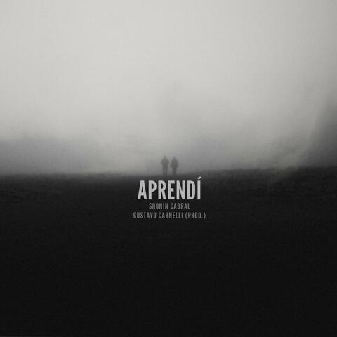 Aprendí (feat. Gustavo Carnelli) album art