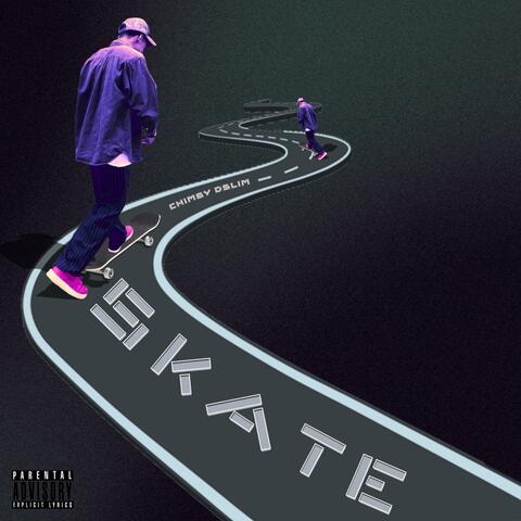 Skate album art