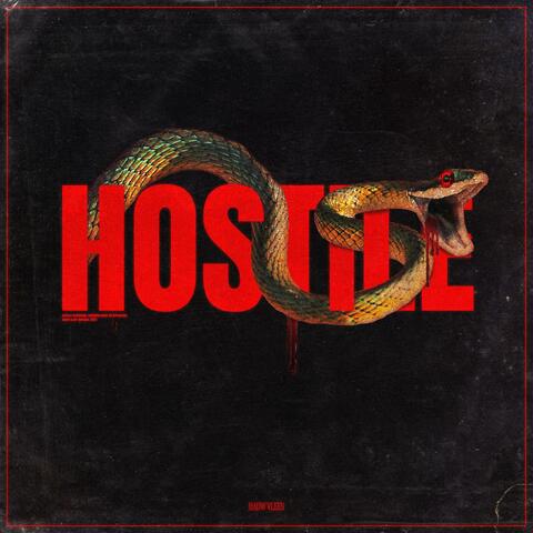 HOSTILE album art