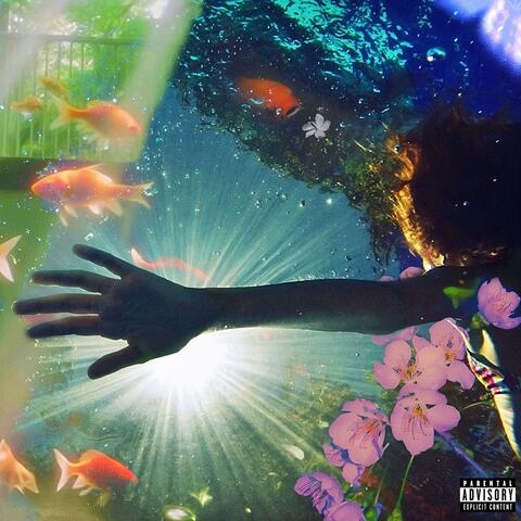 In Koi We Trust album art