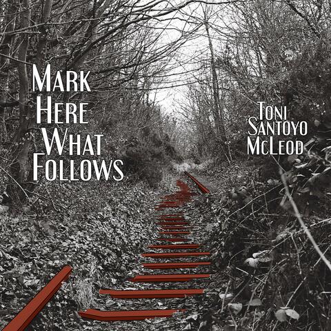 Mark Here What Follows album art