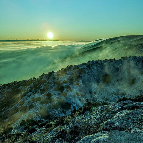 SUMMER IS COLD (feat. LMZ) album art