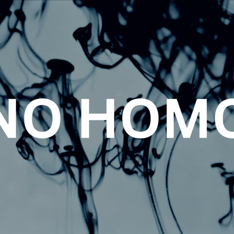 NO HOMO album art