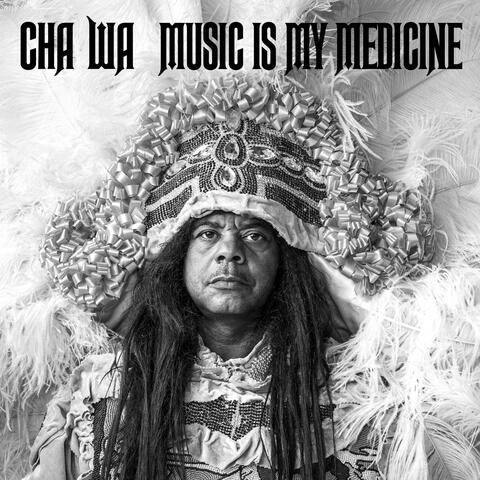 Music Is My Medicine album art