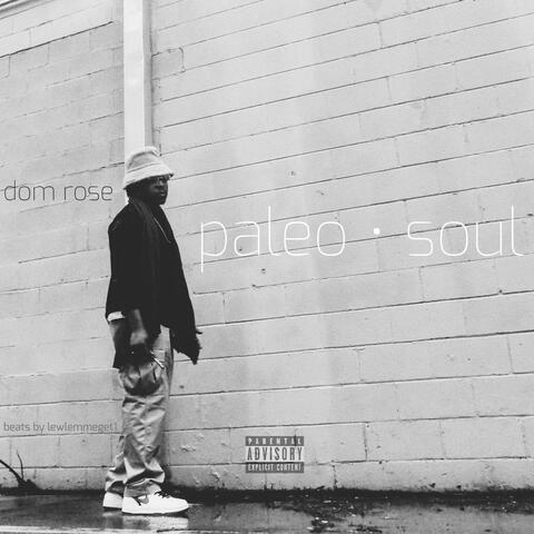 paleosoul album art