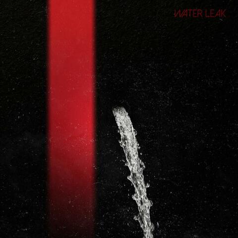 Water Leak (Instrumental Version) album art