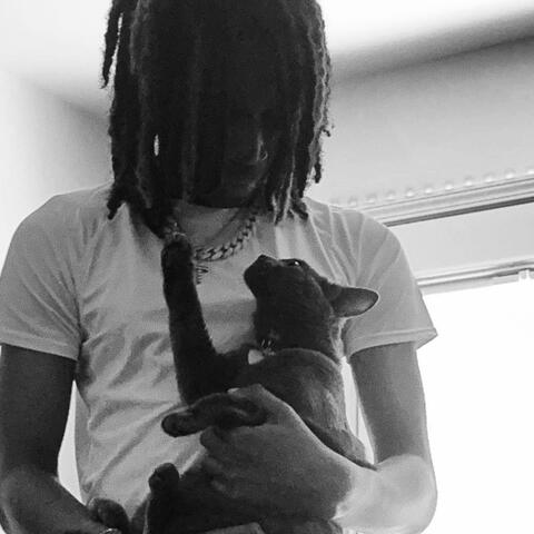 im a cat album art
