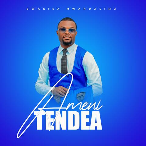 AMENITENDEA album art