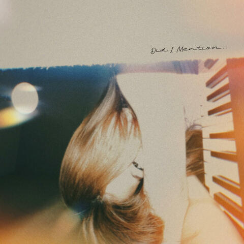 Did I Mention album art