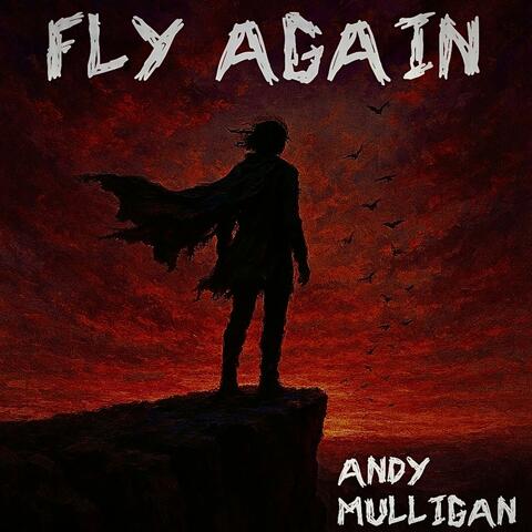 Fly Again album art