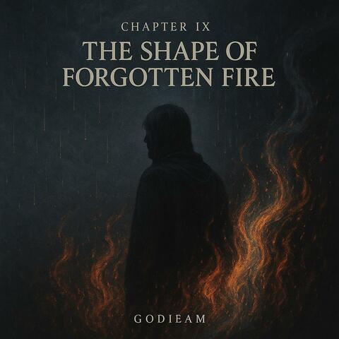 Chapter IX The Shape of Forgotten Fire album art