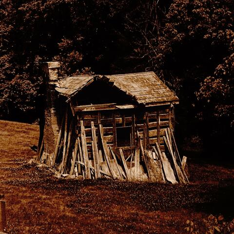Loose Shingle album art