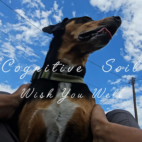 Wish You Well album art